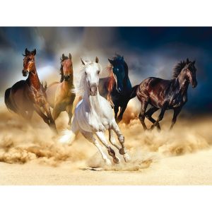 Fototapeta XXL Horses 360 x 270 cm